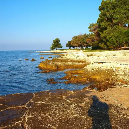 Апартаменты Fuer 2 Personen Ca 65 Qm In Cervar-porat, Istrien Istrische Riviera *
